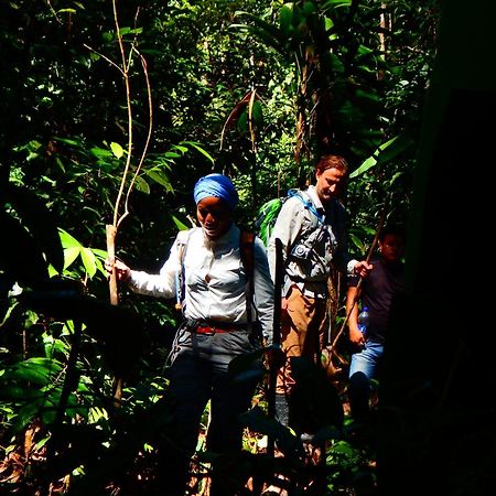 Amazon Acai Lodge Leticia Esterno foto
