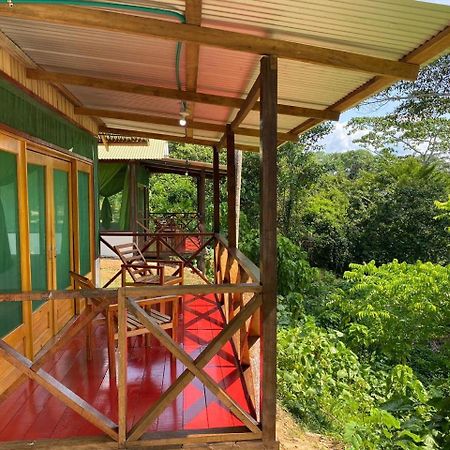 Amazon Acai Lodge Leticia Esterno foto