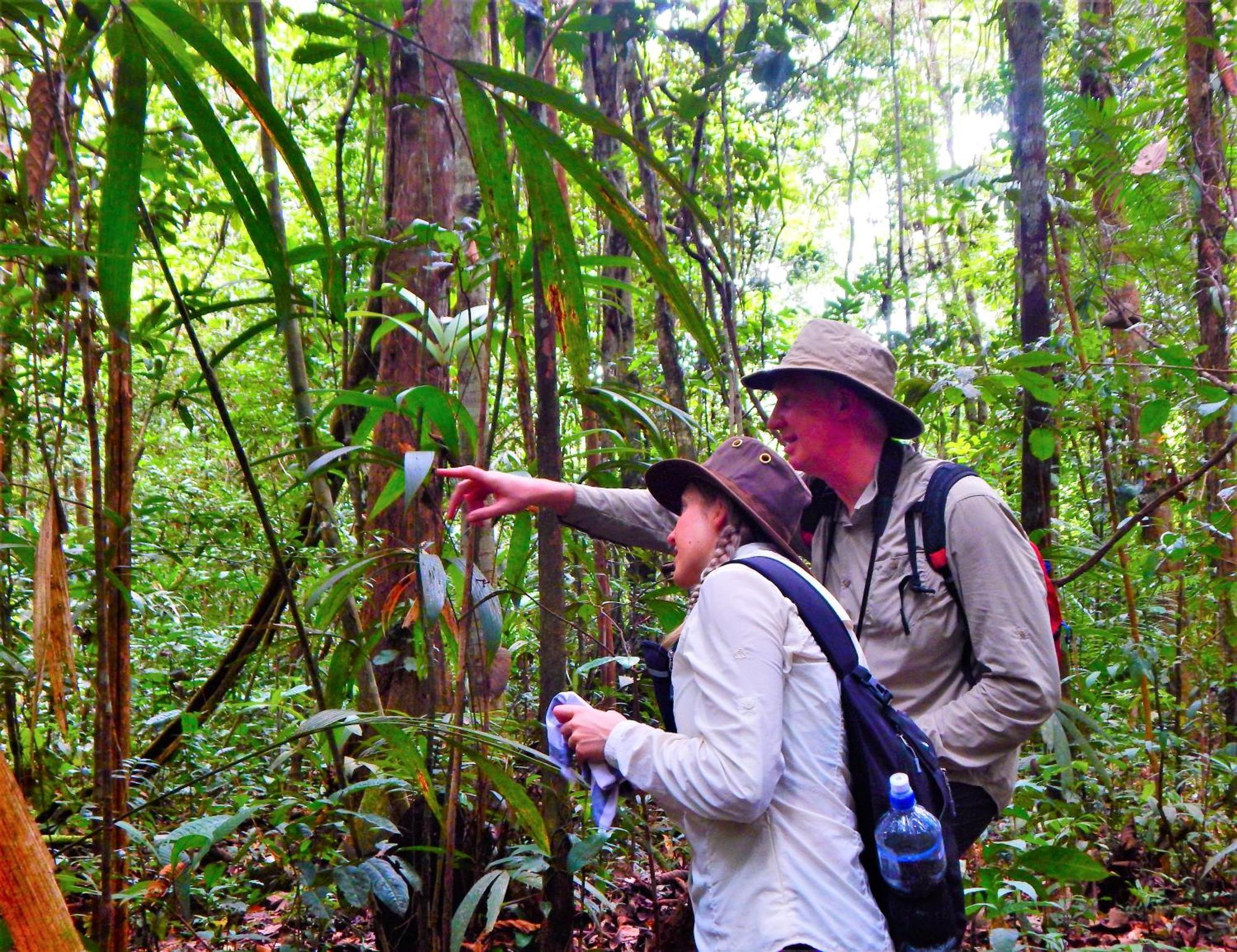 Amazon Acai Lodge Leticia Esterno foto