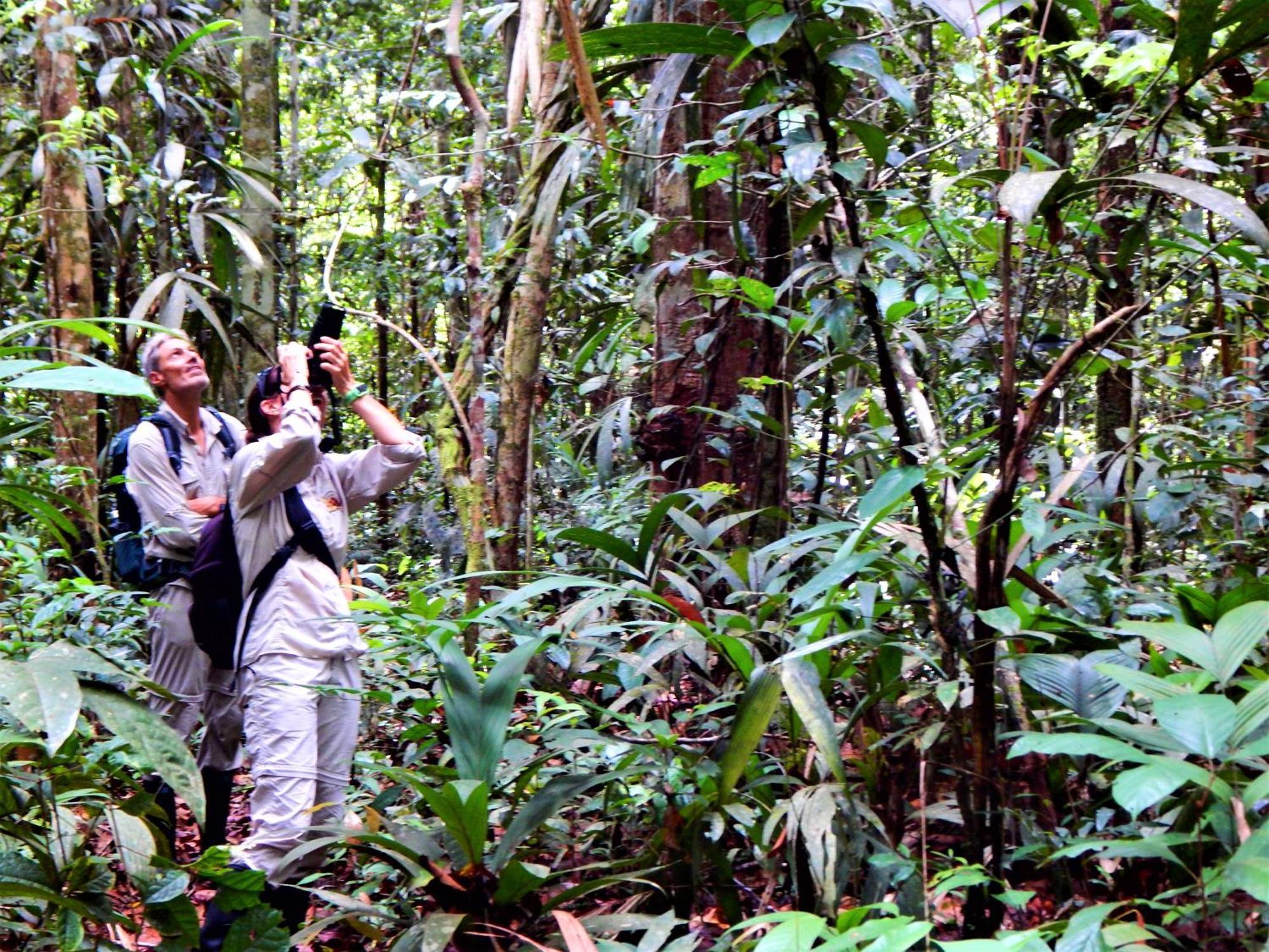 Amazon Acai Lodge Leticia Esterno foto