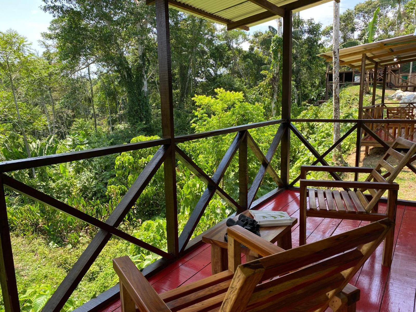 Amazon Acai Lodge Leticia Esterno foto