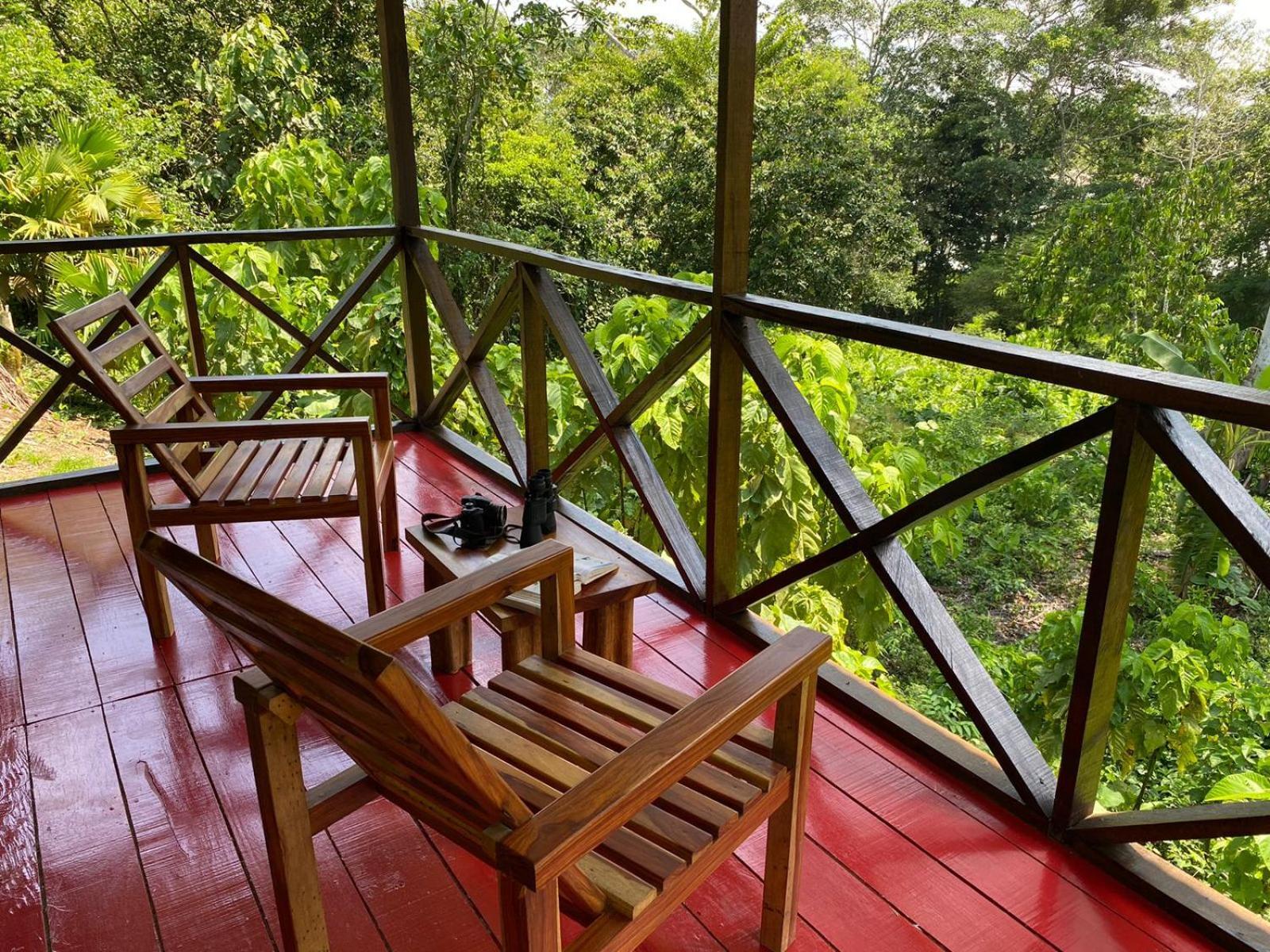 Amazon Acai Lodge Leticia Esterno foto
