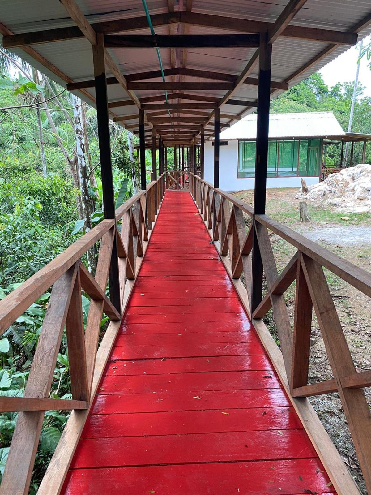 Amazon Acai Lodge Leticia Esterno foto