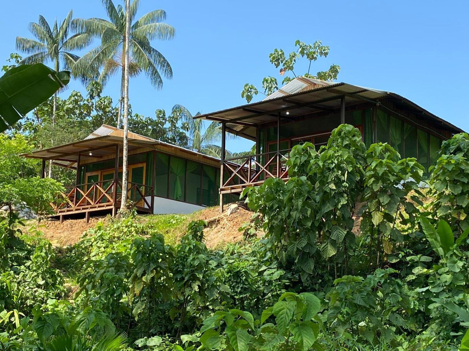 Amazon Acai Lodge Leticia Esterno foto