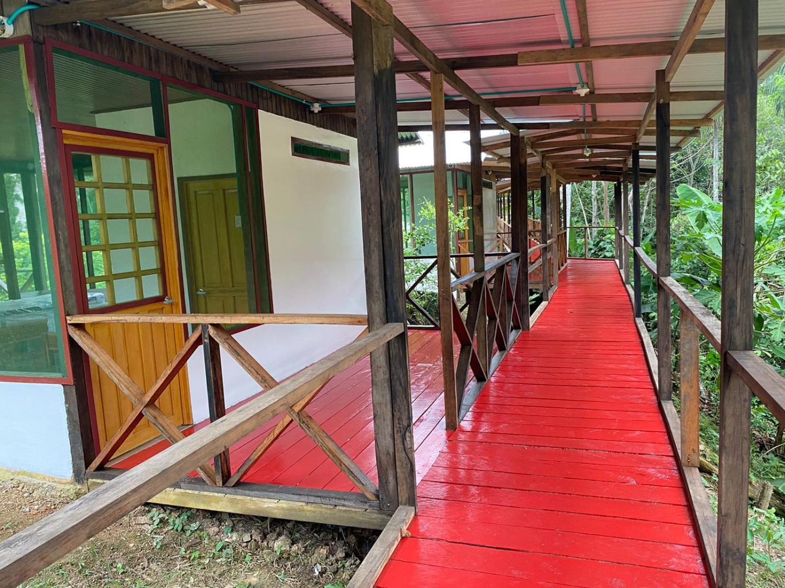Amazon Acai Lodge Leticia Esterno foto
