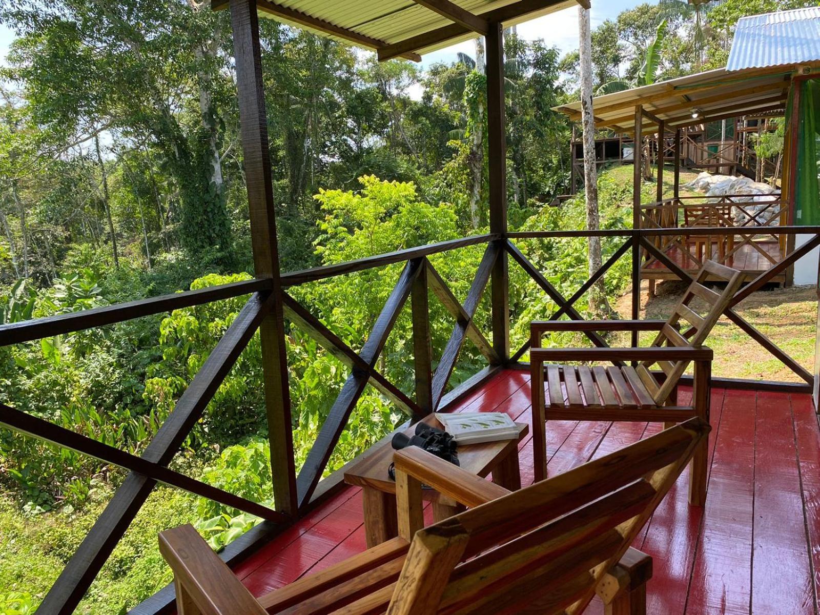 Amazon Acai Lodge Leticia Esterno foto